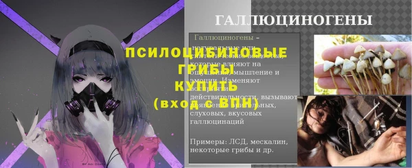 амф Алзамай